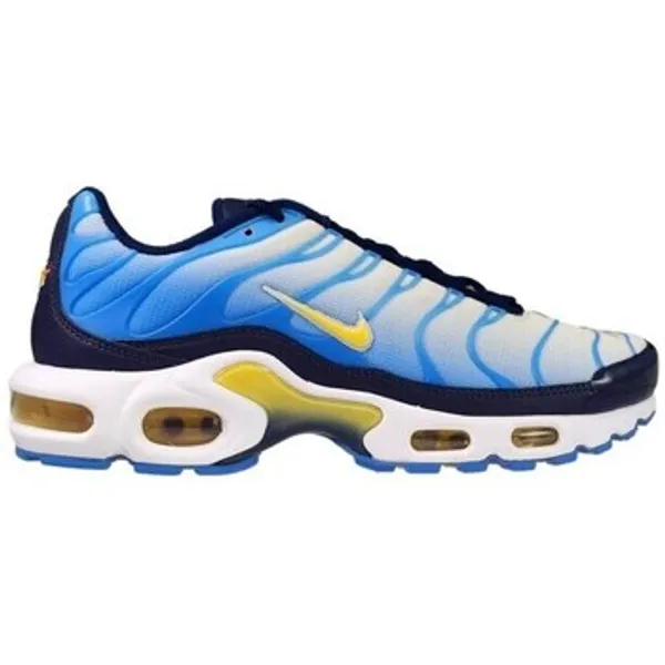 Nike Lage Sneakers Nike Air Max Plus TN