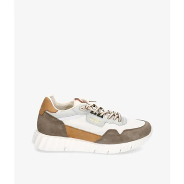 Cetti Sneakers Cetti C-1345