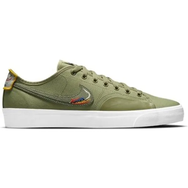 Nike Skateschoenen Nike SB Blazer Court Dvdl Daan Van Der Linden