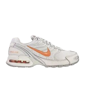 Nike Air Max multicolor