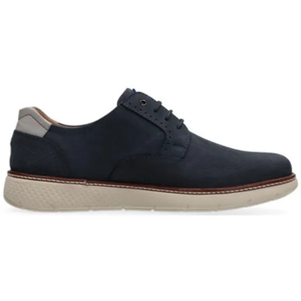 Australian Pozzato Blauw, foto 2 van 2