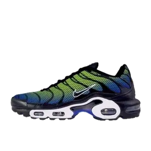 Nike Air Max Plus multicolor
