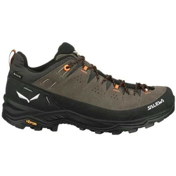 Salewa Wandelschoenen Salewa Alp Trainer 2 Gtx