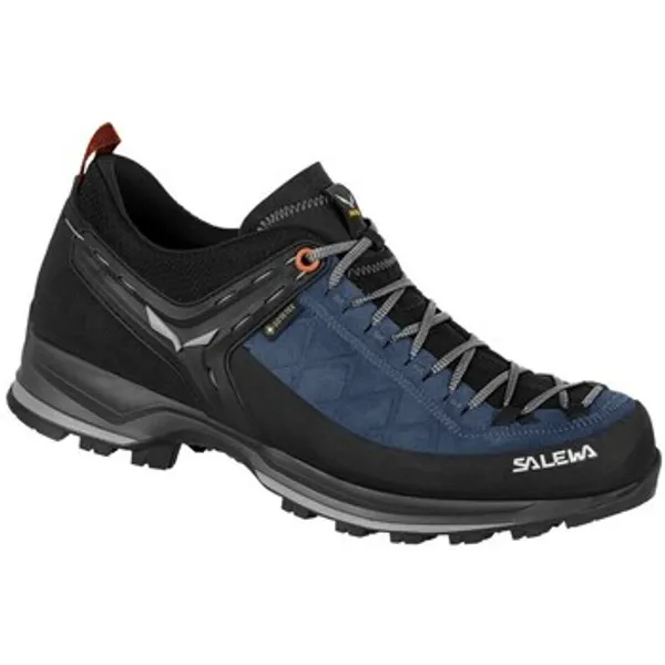 Salewa Wandelschoenen Salewa Mtn Trainer 2 Gtx
