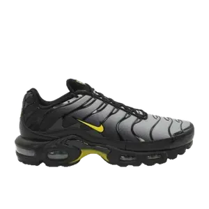 Nike Air Max Plus grijs