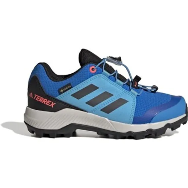 Adidas Lage Sneakers adidas Terrex Gtx