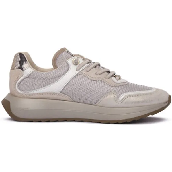 Cetti Saturno Mesh Ivory, vergelijk prijzen bij 1 winkel