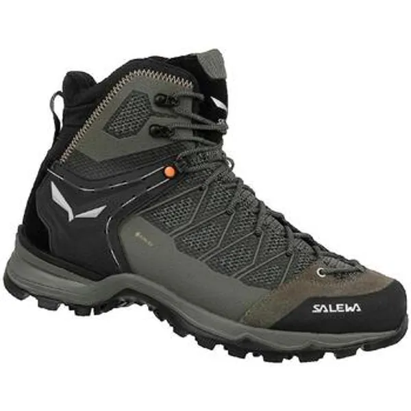 Salewa Wandelschoenen Salewa Trainer Liteid Gtx — vergelijk prijzen bij 1 winkel
