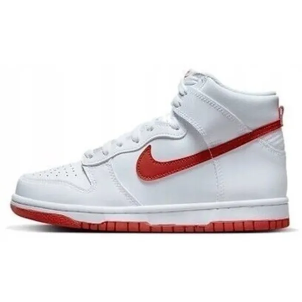 Nike Hoge Sneakers Nike Dunk High