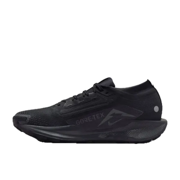 Nike Pegasus Trail 5 GTX Zwart, vergelijk prijzen bij 1 winkel