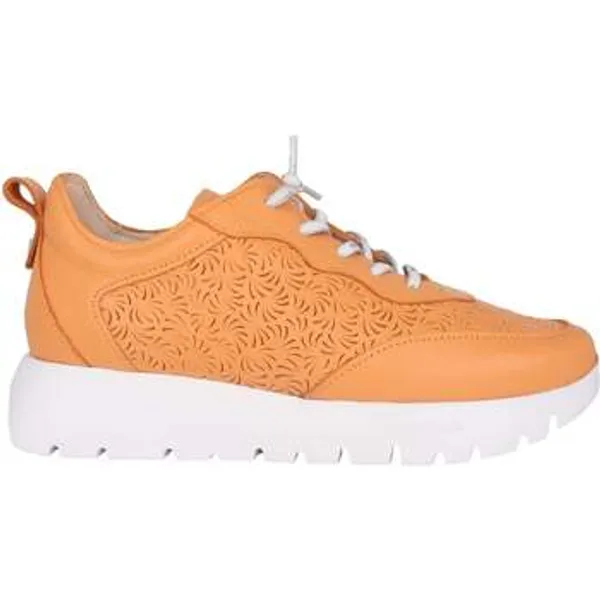 Wonders Lage Sneakers Wonders Cairo