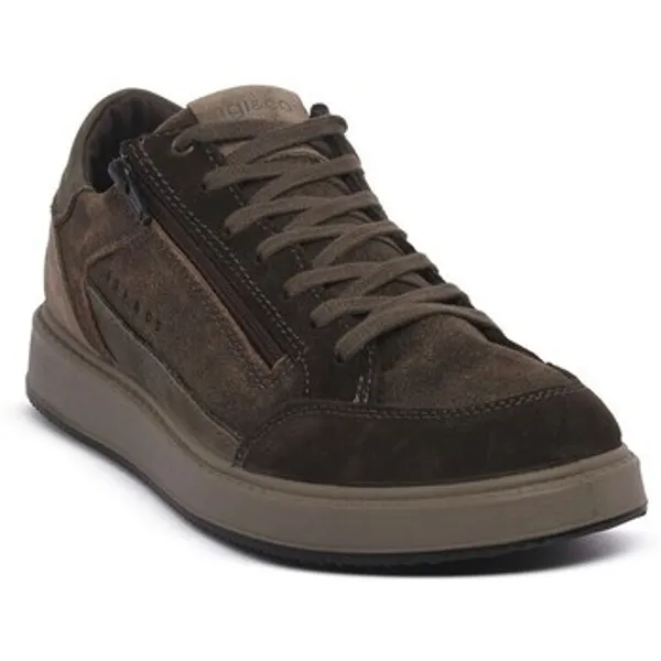 IGI&Co Lage Sneakers IgI&amp;CO 8633822 — vergelijk prijzen bij 1 winkel