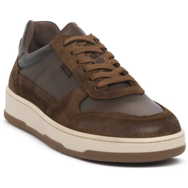 NeroGiardini Lage Sneakers NeroGiardini NERO GIARDINI 339 VELOUR MALTO