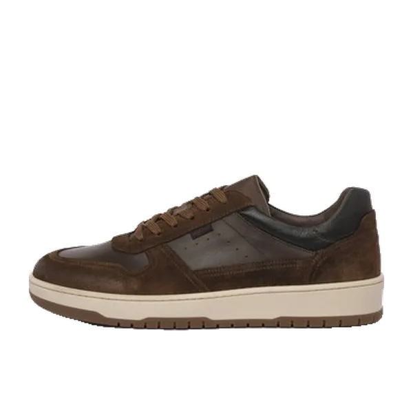 NeroGiardini Lage Sneakers Multicolor, vergelijk prijzen bij 1 winkel