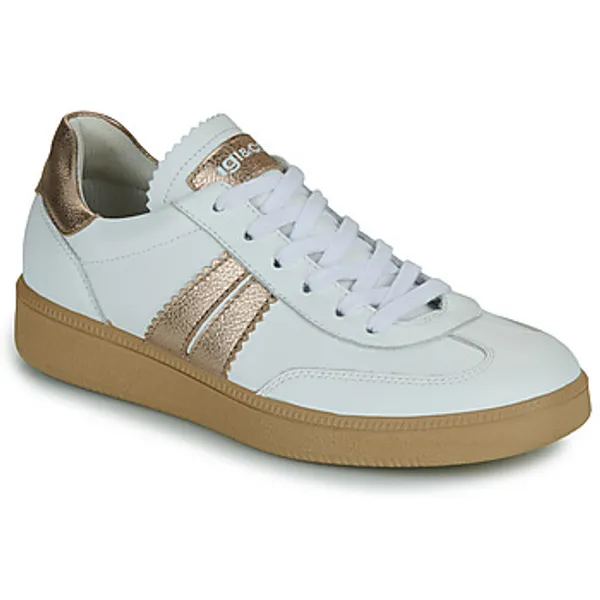 IGI&Co Lage Sneakers IgI&amp;CO D.ATALA — vergelijk prijzen bij 1 winkel