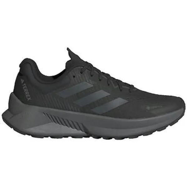 Trail Adidas de Trail Terrex Soulstride Flow GTX Zwart, vergelijk prijzen bij 1 winkel