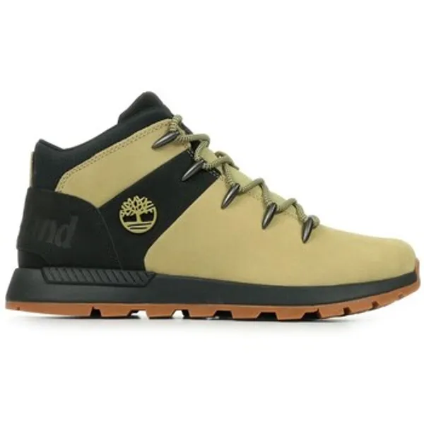 Timberland Lage Sneakers Timberland TB0A6AHZEN7