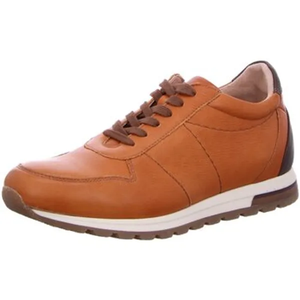 Werner Schuhe Lage Sneakers Bruin, vergelijk prijzen bij 1 winkel