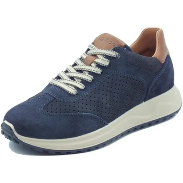 IGI&Co Lage Sneakers IgI&amp;CO 1118311 Scam. — vergelijk prijzen bij 1 winkel