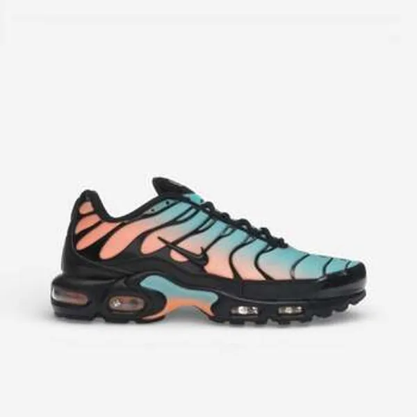 Nike Sneakers Nike Air Max Plus South Beach