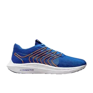 Nike Pegasus multicolor