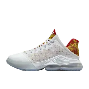 Nike LeBron multicolor