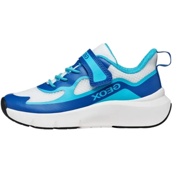 Geox Lage Sneakers Geox 278891