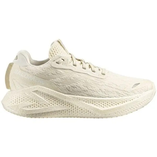 Salomon Lage Sneakers Salomon Aero Glide 4