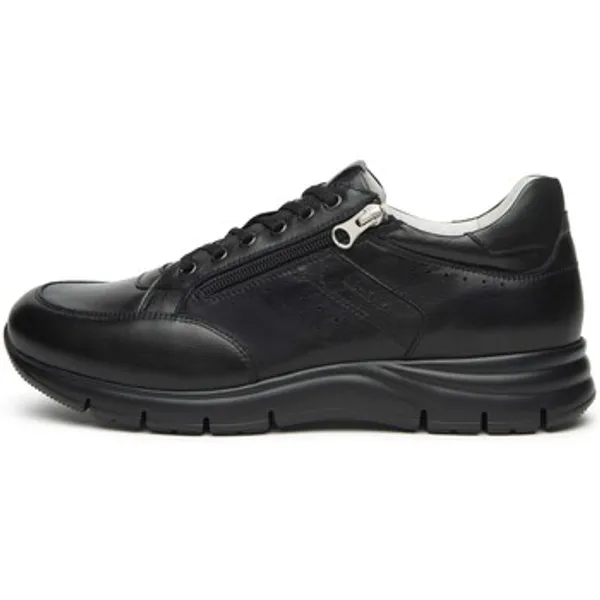 NeroGiardini Lage Sneakers NeroGiardini Sauvage Eva Andalo 8770/005