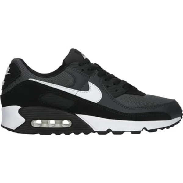 Lage Sneakers Nike Air Max 90 Iron Grey