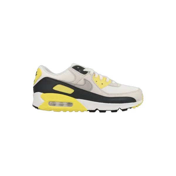 Nike Air Max 90 Grijs