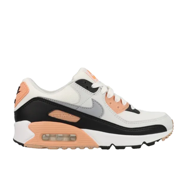 Nike Air Max 90 "Apricot Agate" Wit/Roze/Zwart, vergelijk prijzen bij 2 winkels
