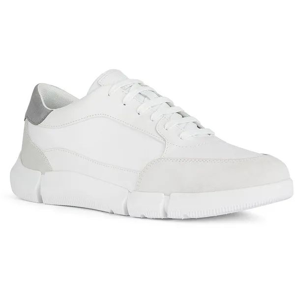 GEOX GEOX Adacter Schoenen Wit EU 43 Man