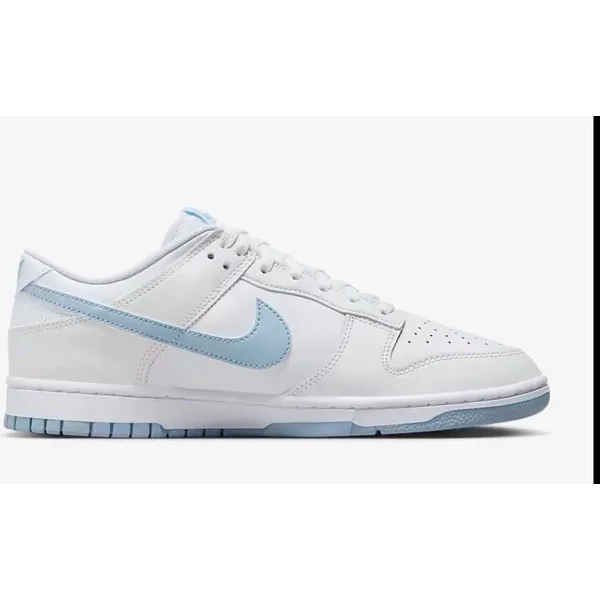 Nike Dunk Low Retro Zoals op de foto’s