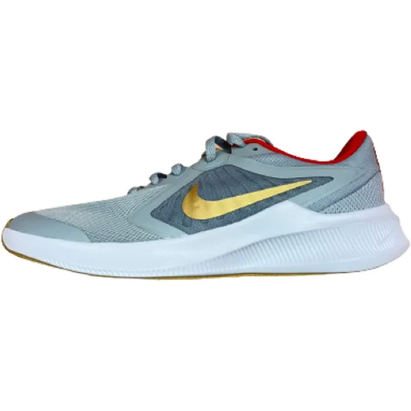 Nike Downshifter 10 Grijs/Goud, vergelijk prijzen bij 1 winkel
