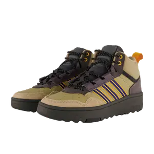 adidas Hoops goud