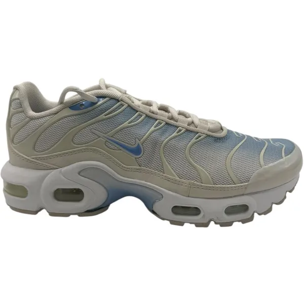 Nike Nike Air Max Plus - Sneakers - Wit/Blauw