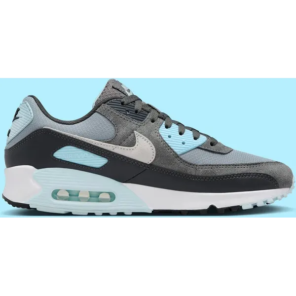 Nike Nike Sneakers Nike Air Max 90 "Light Pumice Smoke Grey" — vergelijk prijzen bij 1 winkel