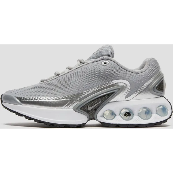 Nike Air Max DN Metallic Silver