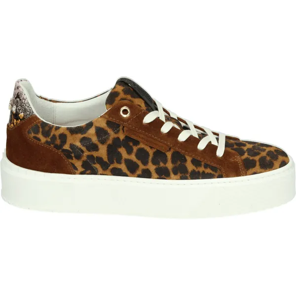 Floris van Bommel Floris van Bommel SFW-10106-23-01 - Lage sneakersDames sneakers - Kleur: Bruin - Maat: 39.5