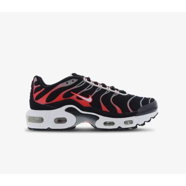 Nike Air Max Plus Blauw/Wit/Roze