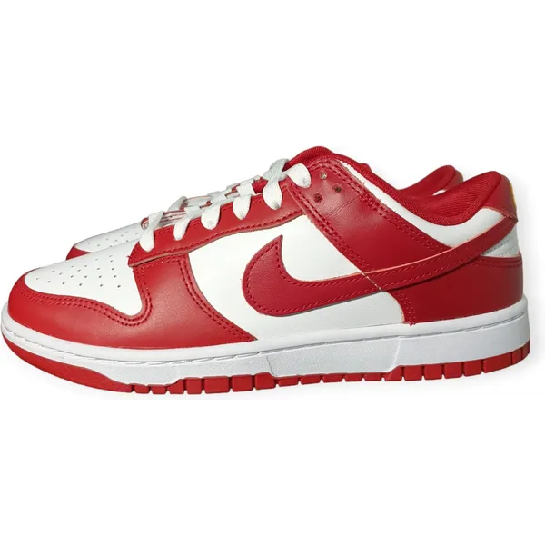 Nike Dunk Low Multikleur