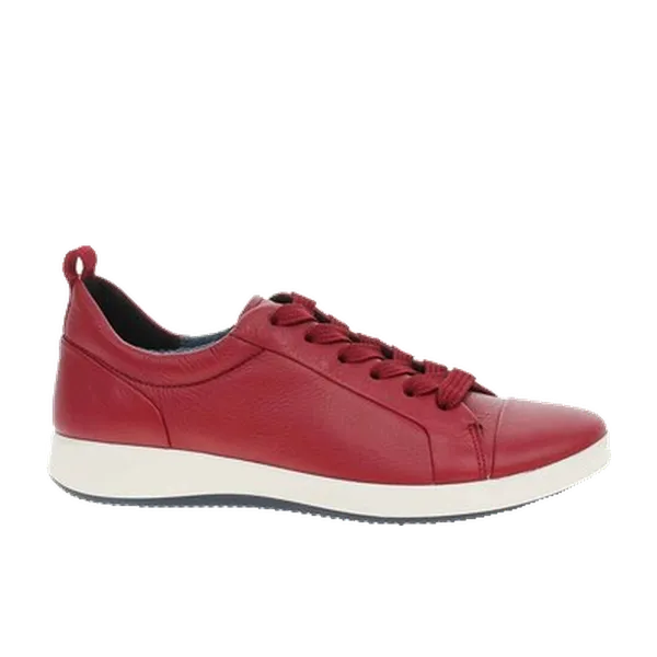 Ara Lage Sneakers Wit, vergelijk prijzen bij 1 winkel