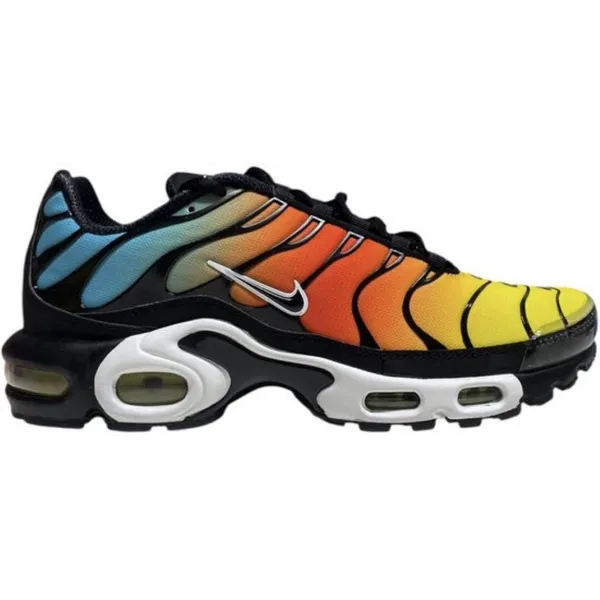 Nike Nike Air Max Plus Veelkleurig