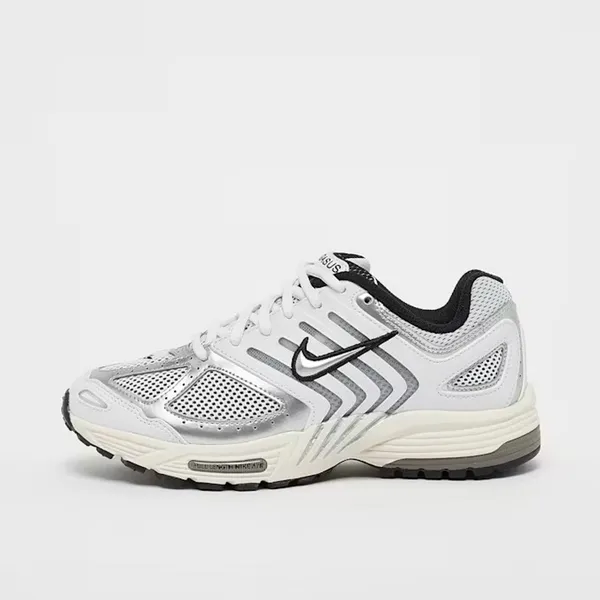 Nike Air Pegasus 2005 Wit/Zilver, vergelijk prijzen bij 1 winkel