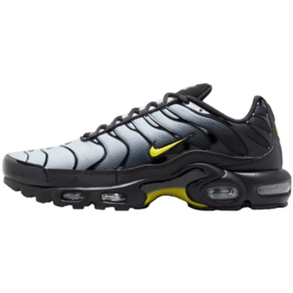 Nike Air Max Plus Grijs