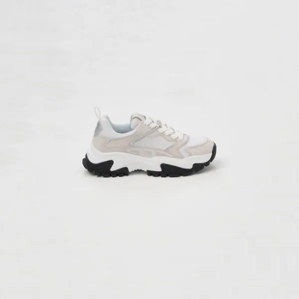 Roberto Cavalli Lage Sneakers Roberto Cavalli 78RA3SC5SNEAKERSTELAESUEDE — vergelijk prijzen bij 1 winkel
