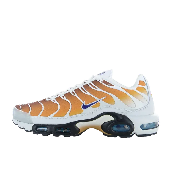 Nike Air Max Plus TN SP One Block Down Chutney, vergelijk prijzen bij 1 winkel
