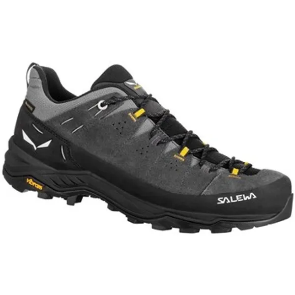 Trail Salewa Alp Trainer 2 GTX Multicolor, vergelijk prijzen bij 1 winkel