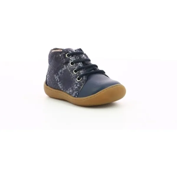 Aster Pastille Blauw, vergelijk prijzen bij 1 winkel